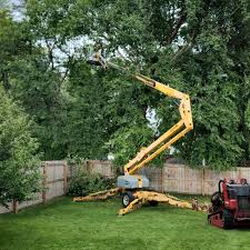 Best Firewood Processing and Delivery  in Tucker, GA