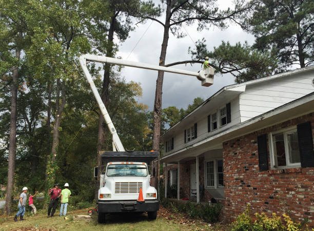 Lawn Edging in Tucker, GA