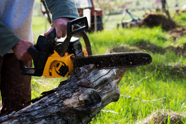 Best Tree Maintenance Programs  in Tucker, GA